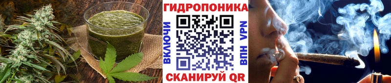 Cannafood конопля Холм
