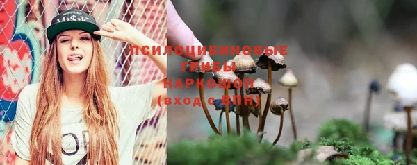 мет Баксан