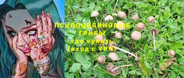 стафф Балабаново