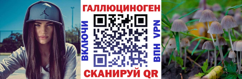 Галлюциногенные грибы прущие грибы  даркнет сайт  Холм 
